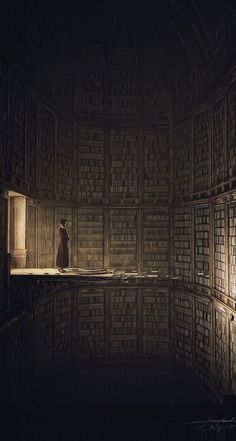 a dark room with lots of bookshelves and a person standing on the ledge