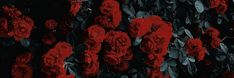 red roses are growing on the side of a black wall with green leaves and branches