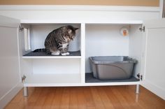 a cat sitting on top of a white shelf next to a trash can and bin