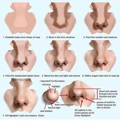 an image of different types of nose shapes