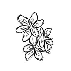 a black and white drawing of flowers