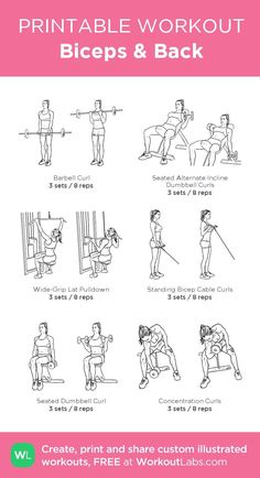 the printable workout guide for beginners to learn how to do squats and pull ups