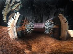 a close up of a bow tie with feathers on it