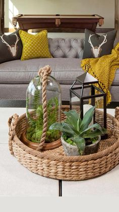 a living room filled with furniture and plants on top of a coffee table in front of a gray couch