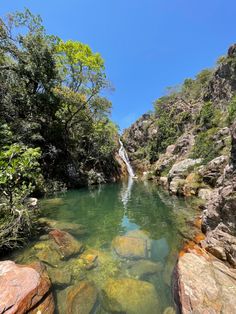 the water is crystal green and clear