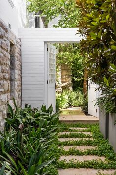 an open door leading into a lush green garden