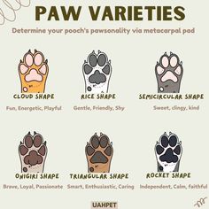 the paw varieties for different types of dogs and cats are shown in this graphic style