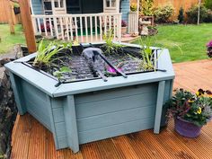 a dog is sitting in the middle of a raised garden bed with plants growing out of it