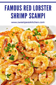 shrimp scamps on a white plate with parsley garnish