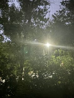 the sun shines brightly through the trees