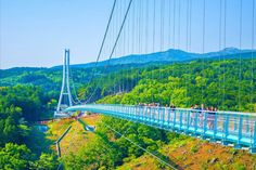 people walking across a suspension bridge in the mountains