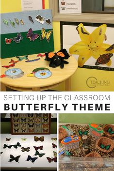 the butterfly themed classroom is set up with butterflies and other things to make them look like they