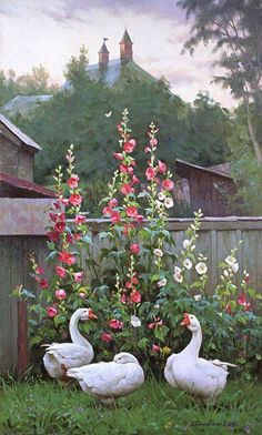 two white geese standing in the grass next to some pink and red flowers near a fence