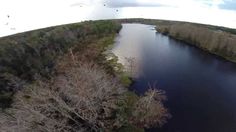 an aerial view of a river surrounded by trees and birds flying over the top of it