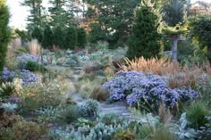 a garden filled with lots of different types of plants