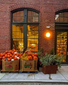 boxes full of oranges sitting on the sidewalk in front of a brick building with large windows