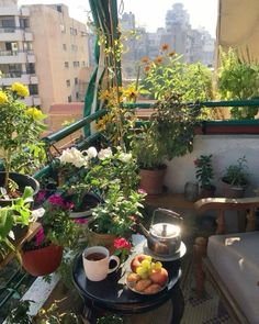 the balcony is full of potted plants and flowers