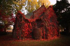 an old house covered in red leaves