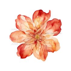 a watercolor painting of an orange and pink flower on a white background with the words,