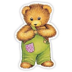 a brown teddy bear wearing green overalls