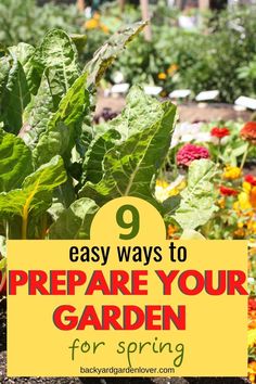 a garden filled with lots of green plants and flowers that says 9 easy ways to prepare your garden for spring