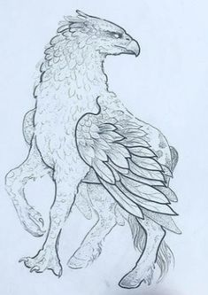 a drawing of a bird with wings on it's back