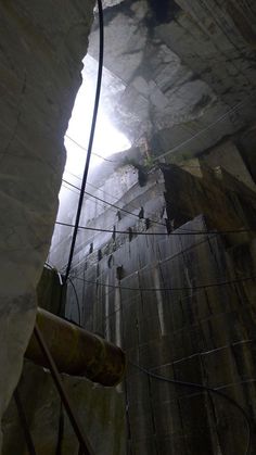 there are many birds perched on the wires in this cave