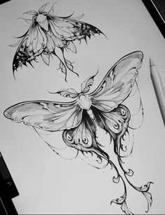 a pencil drawing of a butterfly and flower