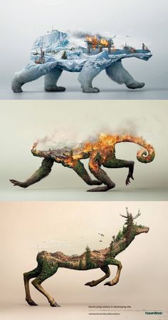 three different views of an animal with fire coming out of it's back legs