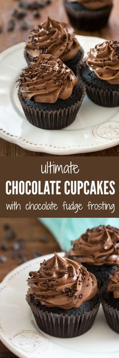 chocolate cupcakes with chocolate fudge frosting on a white plate and the title overlay reads ultimate chocolate cupcakes