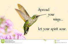 a hummingbird flying in the air with a quote above it that says spread your wings, let your spirit soar