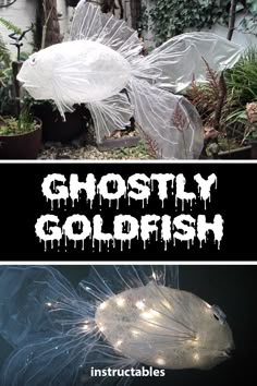 there are two pictures with words ghosty goldfish