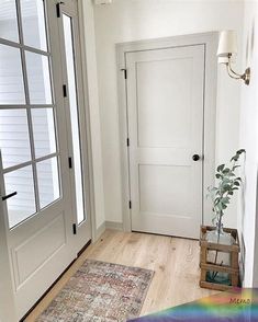 an entryway with a rug, potted plant and two doors on either side