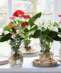 three vases filled with flowers on top of a table