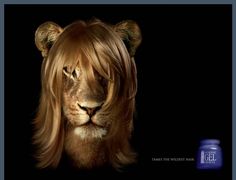 an image of a lion with long hair on it's head and the caption lions