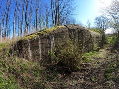 a large log sitting on top of a grass covered field next to trees and bushes