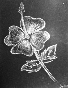 a drawing of a flower on a black background