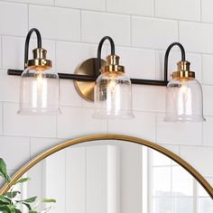 a bathroom vanity with three lights and a mirror on the wall next to a potted plant