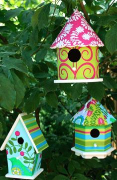 three bird houses hanging from a tree branch