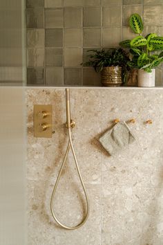 a bathroom with a shower head, towel and potted plants