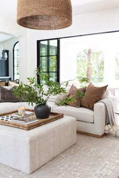 a living room filled with furniture and a large plant on top of a coffee table