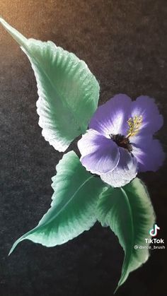 two purple flowers with green leaves on a black surface and sunlight shining in the background