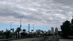 cars are driving down the road in front of tall buildings and palm trees on either side