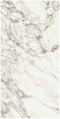 Arabescato Vagli Lucido Porcelain Slab Matte single piece Arabescato Vagli, Wood Ceramic Tiles, Porcelain Countertops, Porcelain Slab, Interior Design Classes, Exterior Fireplace, Shower Wall Tile, Marble Slabs, Pebble Tile