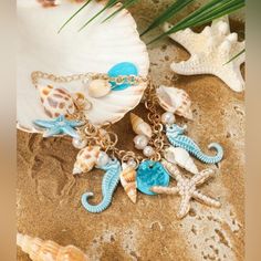 sea shells and seashells are on the sand