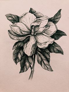 a black and white drawing of a flower