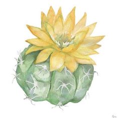 a painting of a yellow flower on top of a green cactus