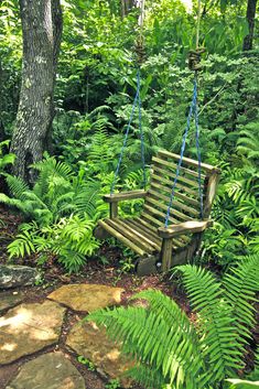 a wooden bench sitting in the middle of a lush green forest