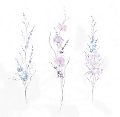 three different types of flowers are shown in this drawing style, each with purple and blue flowers