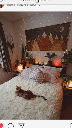 a cat laying on top of a white bed in a room with lights and plants